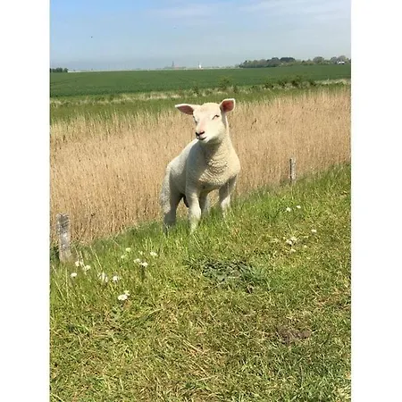 Hébergement de vacances Kleine Freiheit Fehmarn